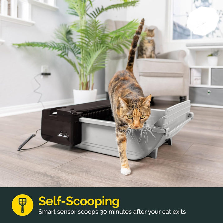 Furenvast - Pet Zone Smart Scoop Self-Cleaning Cat Litter Bo