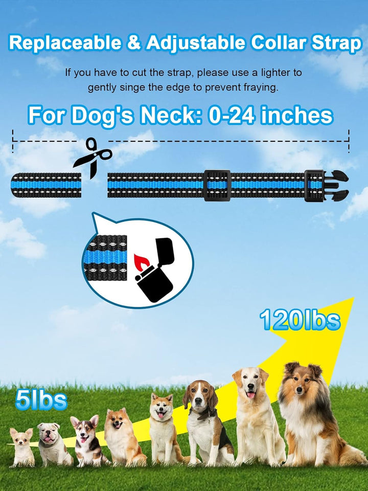 Furenvast - BOUSNIC Dual-Dog Training Collar System: Waterpr