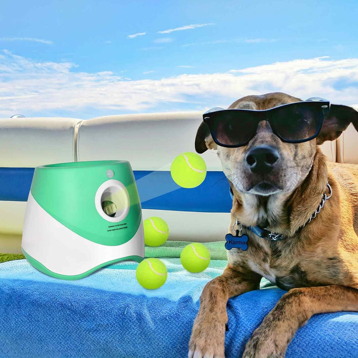 Furenvast - Automatic Dog Ball Launcher with 12 Mini Tennis 