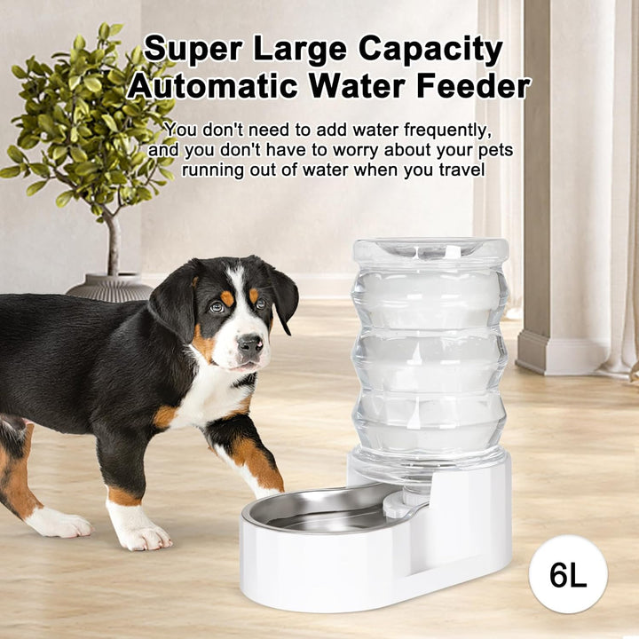 Furenvast - RIZZARI 6L Automatic Pet Water Dispenser - Stain